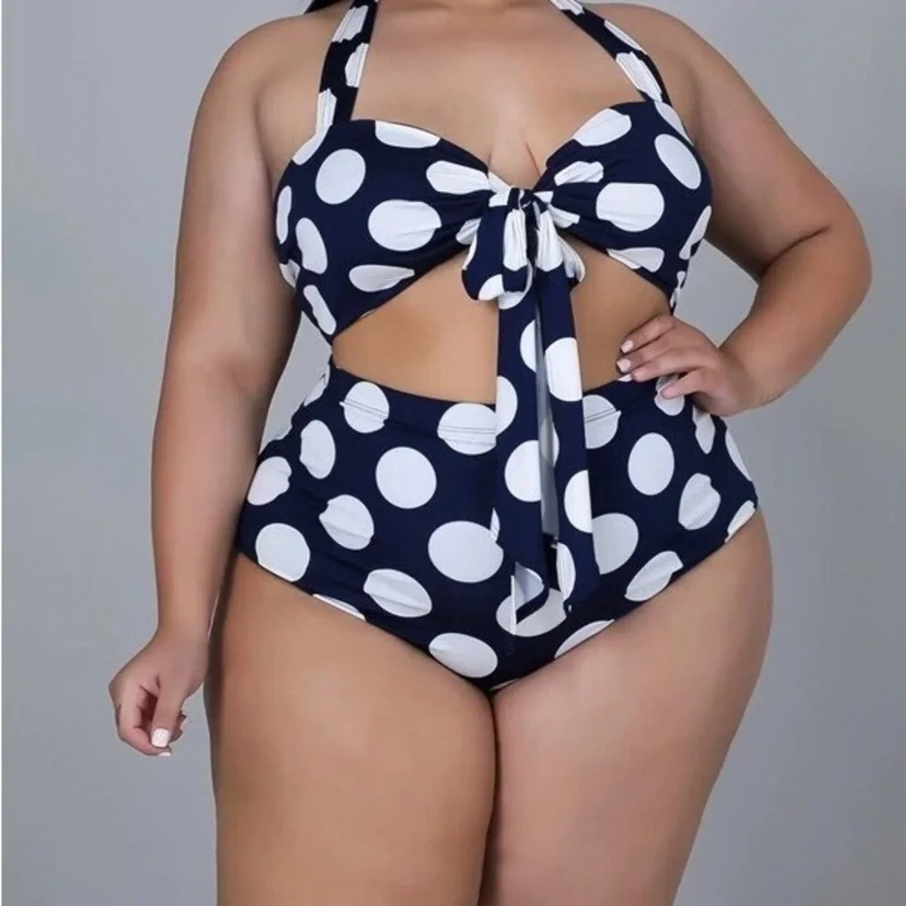 Dani Blue & White Polka Dot Bikini 1X-3X